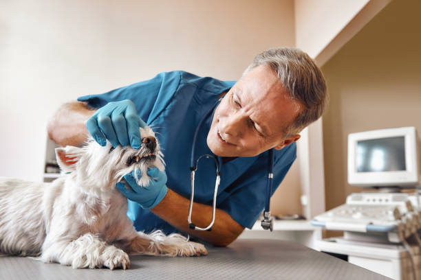 Tooth Infection Emergency Dentist in SC